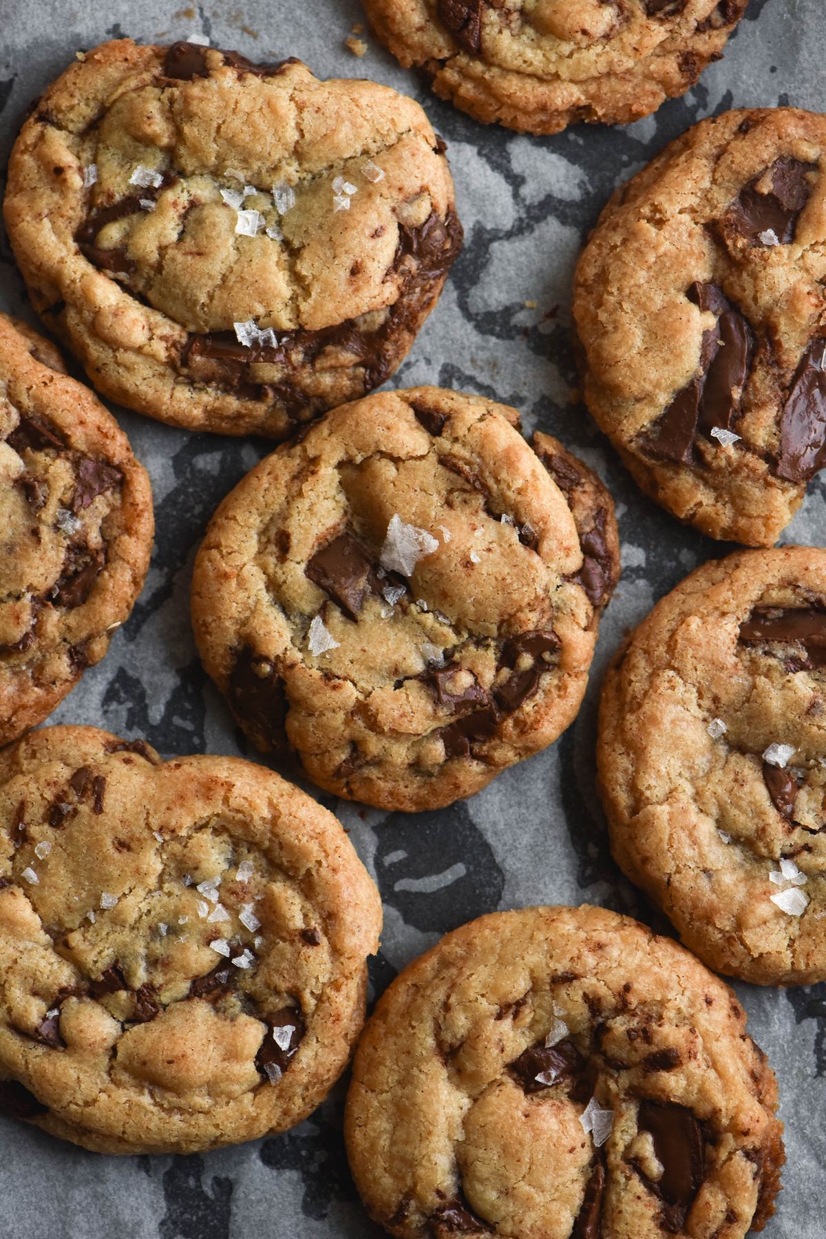Chocolate Cookie